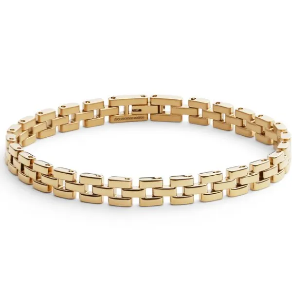 Daniel Wellington Link Teräsrannekoru DW004009GP Clearance