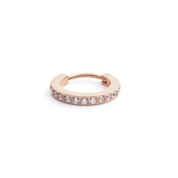 Daniel Wellington Micro Earring Teräskorvakoru DW00400861 Cheap