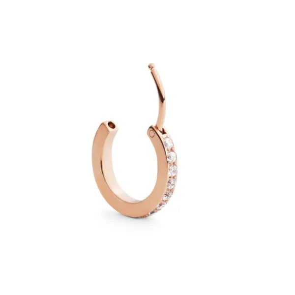 Daniel Wellington Micro Earring Teräskorvakoru DW00400861 Cheap