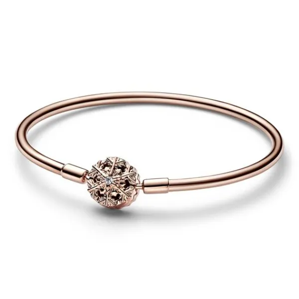 Pandora Muotirannekoru 582338C01 Shop