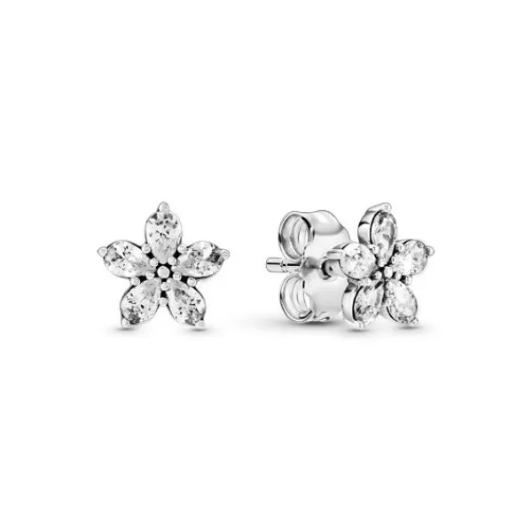 Pandora Snowflake Hopeakorvakorut 299239C01 Store