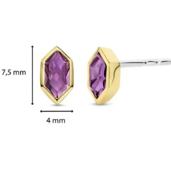 Ti Sento Hopeakorvakorut 7944PU Best Sale